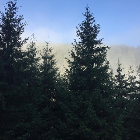 Лісовий Маєток Slavske Bagian luar foto