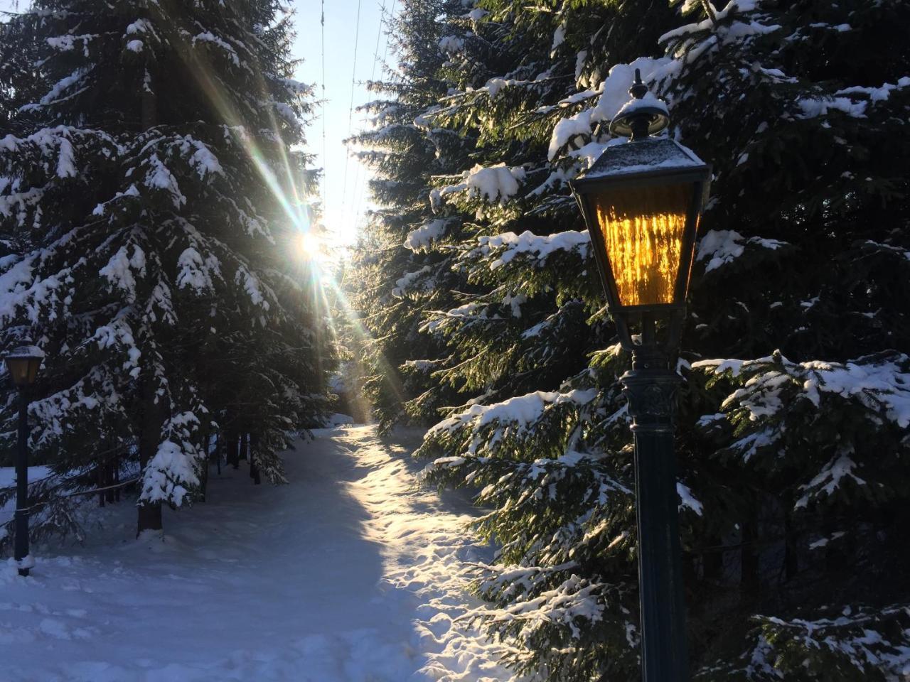 Лісовий Маєток Slavske Bagian luar foto