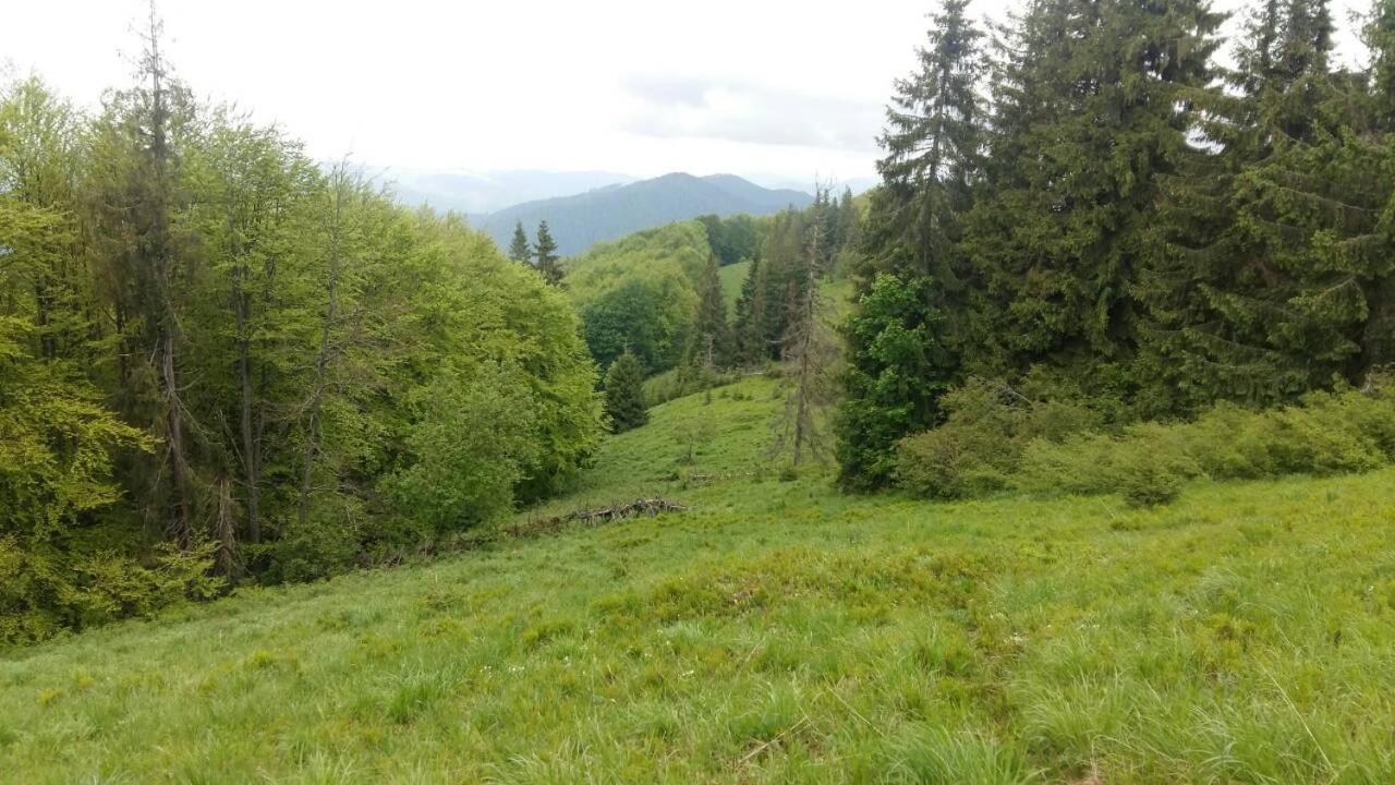 Лісовий Маєток Slavske Bagian luar foto